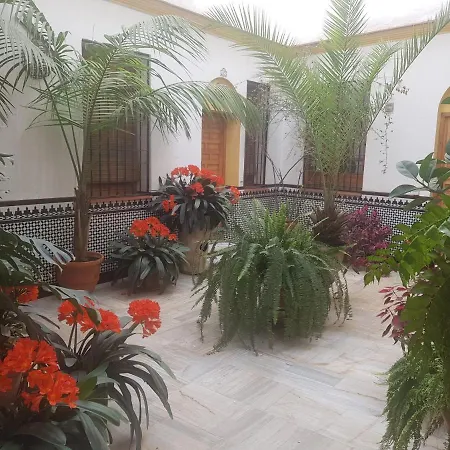 Casa Tipica Cordobesa Apartment Cordoba Exterior photo