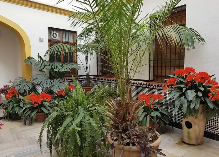 Casa Tipica Cordobesa