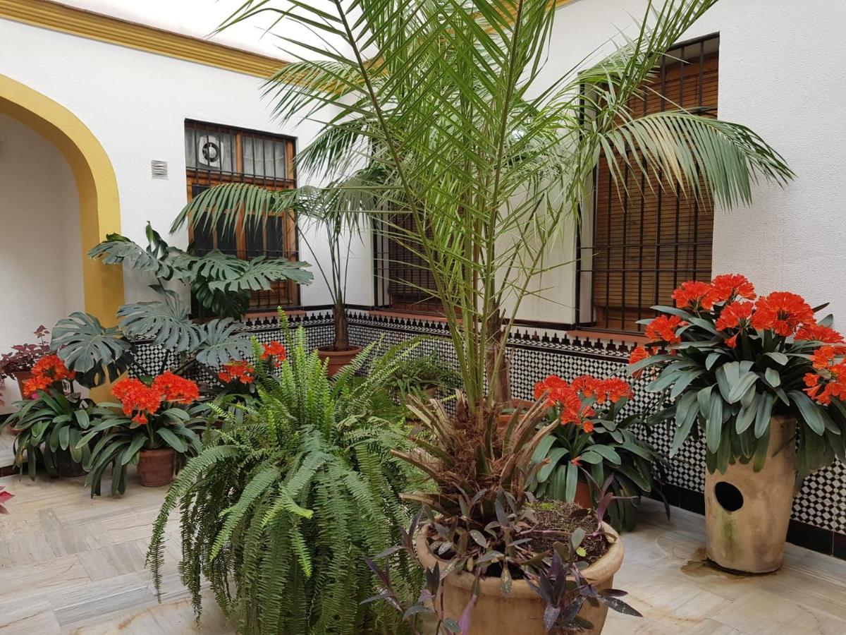 Casa Tipica Cordobesa Cordoba