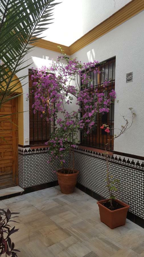 Apartment Casa Tipica Cordobesa Cordoba